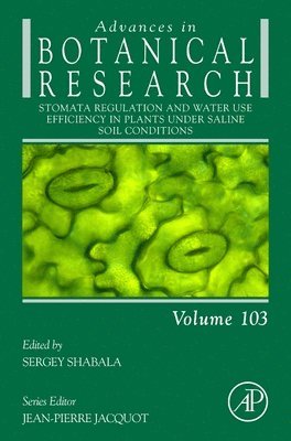 Stomata Regulation and Water Use Efficiency in Plants under Saline Soil Conditions 1