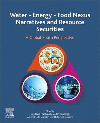 Water - Energy - Food Nexus Narratives and Resource Securities 1