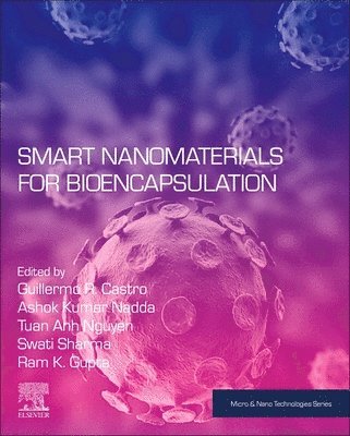 bokomslag Smart Nanomaterials for Bioencapsulation