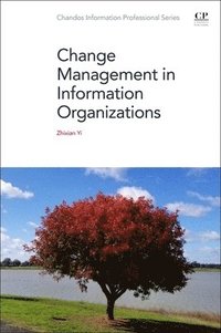 bokomslag Change Management in Information Organizations