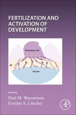 bokomslag Current Topics in Developmental Biology