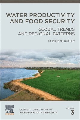 bokomslag Water Productivity and Food Security