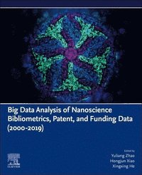 bokomslag Big Data Analysis of Nanoscience Bibliometrics, Patent, and Funding Data (2000-2019)