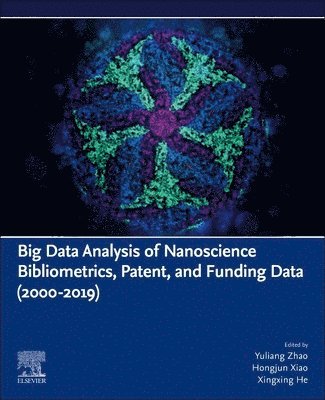 Big Data Analysis of Nanoscience Bibliometrics, Patent, and Funding Data (2000-2019) 1