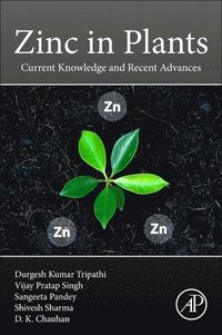 bokomslag Zinc in Plants