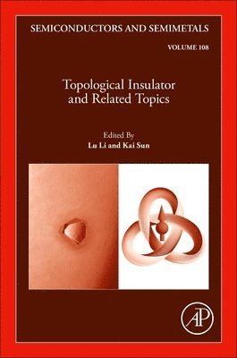 bokomslag Topological Insulator and Related Topics