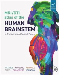 bokomslag MRI/DTI Atlas of the Human Brainstem in Transverse and Sagittal Planes