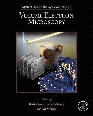 bokomslag Volume Electron Microscopy