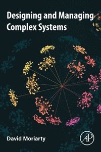 bokomslag Designing and Managing Complex Systems