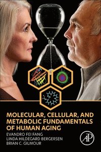 bokomslag Molecular, Cellular, and Metabolic Fundamentals of Human Aging