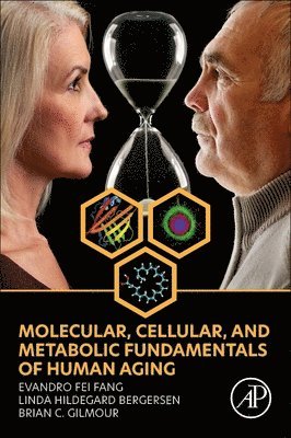Molecular, Cellular, and Metabolic Fundamentals of Human Aging 1