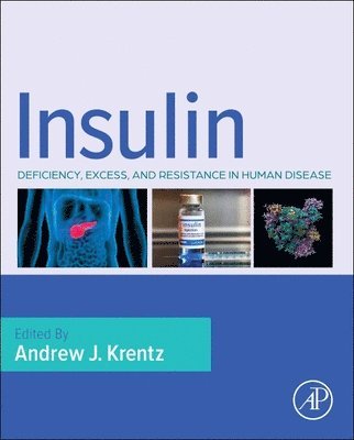 bokomslag Insulin