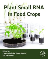 bokomslag Plant Small RNA in Food Crops