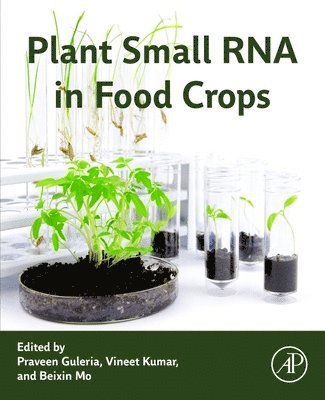 Plant Small RNA in Food Crops 1