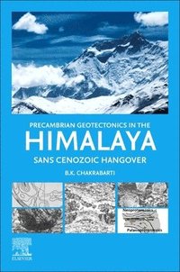 bokomslag Precambrian Geotectonics in the Himalaya