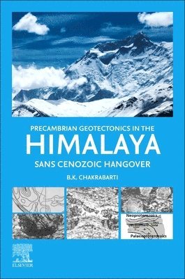 Precambrian Geotectonics in the Himalaya 1