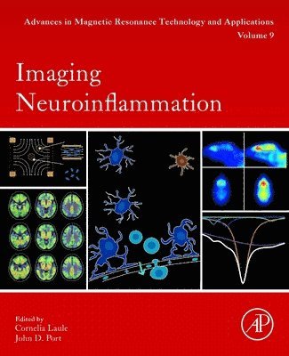 bokomslag Imaging Neuroinflammation