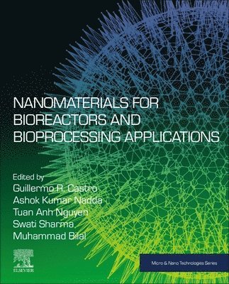 Guillermo R. Castro, Ashok Kumar Nadda, Swati Sharma, Muhammad Bilal, Tuan Anh Nguyen - Nanomaterials for Bioreactors and Bioprocessing Applications, Häftad