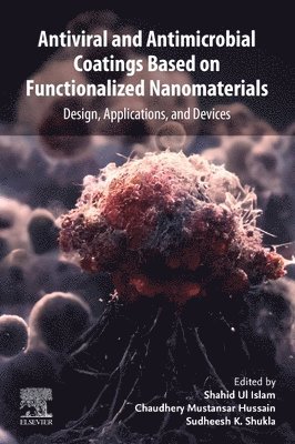 Antiviral and Antimicrobial Coatings Based on Functionalized Nanomaterials 1
