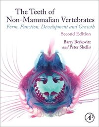bokomslag The Teeth of Non-mammalian Vertebrates