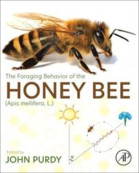 bokomslag The Foraging Behavior of the Honey Bee (Apis mellifera, L.)