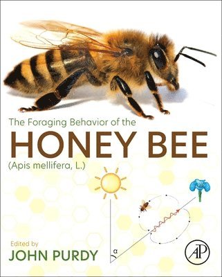 The Foraging Behavior of the Honey Bee (Apis mellifera, L.) 1