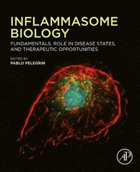 bokomslag Inflammasome Biology
