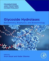 bokomslag Glycoside Hydrolases