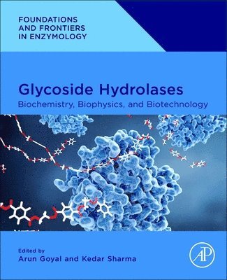 bokomslag Glycoside Hydrolases