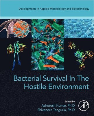 Ashutosh Kumar, Shivendra Tenguria - Bacterial Survival in the Hostile Environment, Häftad