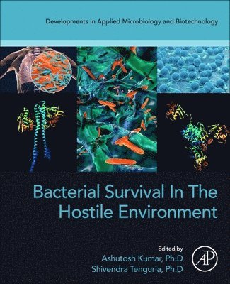 Bacterial Survival in the Hostile Environment 1
