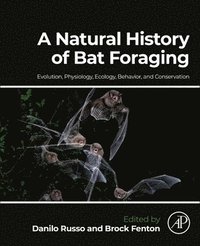bokomslag A Natural History of Bat Foraging