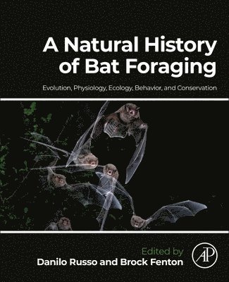 bokomslag A Natural History of Bat Foraging