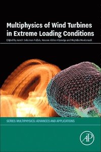 bokomslag Multiphysics of Wind Turbines in Extreme Loading Conditions