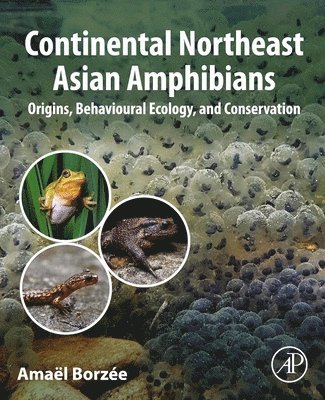 Ama�l Borz�e, Amaël Borzée - Continental Northeast Asian Amphibians, Häftad