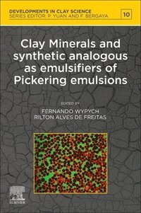 bokomslag Clay Minerals and Synthetic Analogous as Emulsifiers of Pickering Emulsions