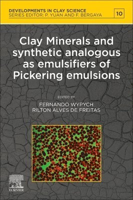bokomslag Clay Minerals and Synthetic Analogous as Emulsifiers of Pickering Emulsions