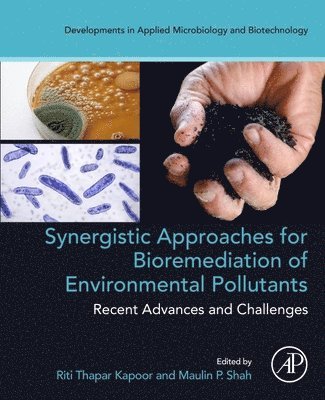 Synergistic Approaches for Bioremediation of Environmental Pollutants: Recent Advances and Challenges 1