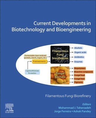 bokomslag Current Developments in Biotechnology and Bioengineering