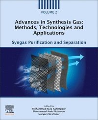 bokomslag Advances in Synthesis Gas: Methods, Technologies and Applications