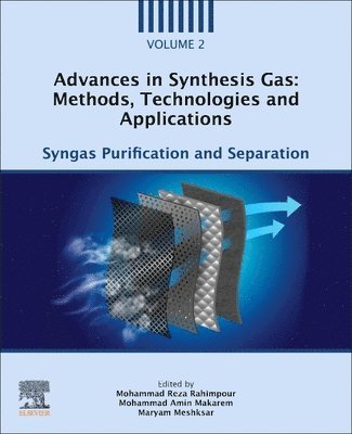 Advances in Synthesis Gas: Methods, Technologies and Applications 1