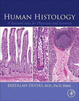 Human Histology 1