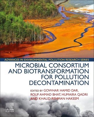 Gowhar Hamid Dar, Rouf Ahmad Bhat, Humaira Qadri, Khalid Rehman Hakeem - Microbial Consortium and Biotransformation for Pollution Decontamination, Häftad
