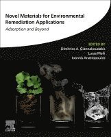 Dimitrios A Giannakoudakis, Lucas Meili, Ioannis Anastopoulos - Novel Materials for Environmental Remediation Applications, Häftad