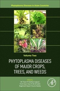 bokomslag Phytoplasma Diseases of Major Crops, Trees, and Weeds