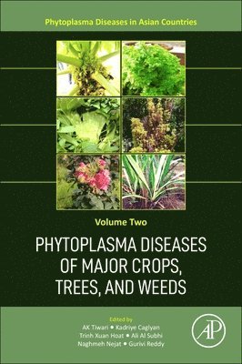 Phytoplasma Diseases of Major Crops, Trees, and Weeds 1