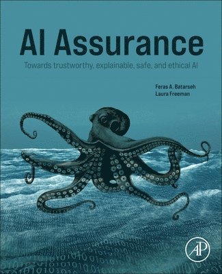 AI Assurance 1