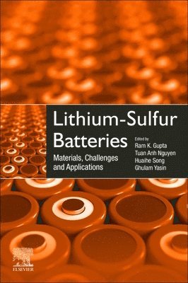 bokomslag Lithium-Sulfur Batteries