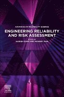 Harish Garg, Mangey Ram - Engineering Reliability and Risk Assessment, Häftad