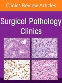bokomslag Genitourinary Pathology, An Issue of Surgical Pathology Clinics